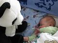 Bartek i Pan Panda 1